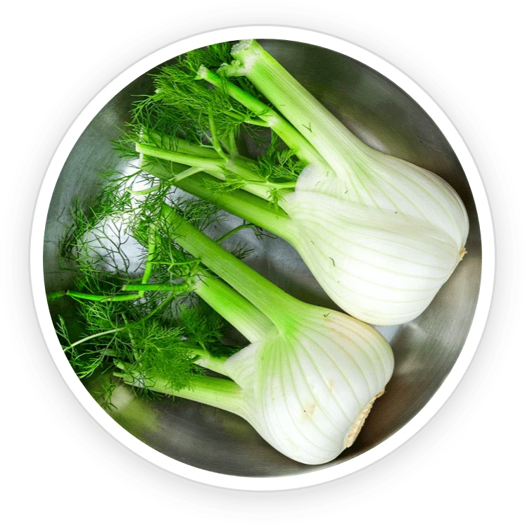 Fennel Ingredient