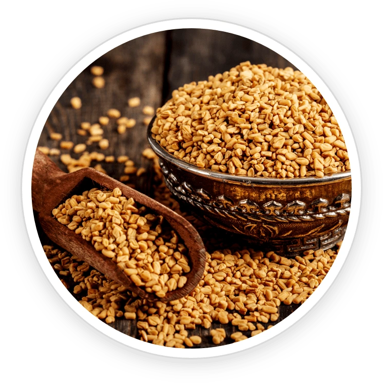 Fenugreek Ingredient
