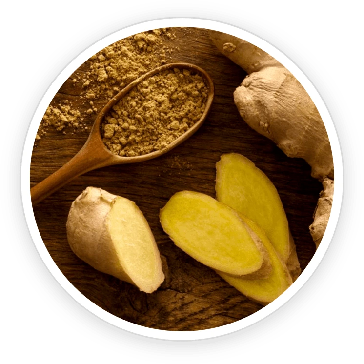 Organic Ceylon Ginger Ingredient